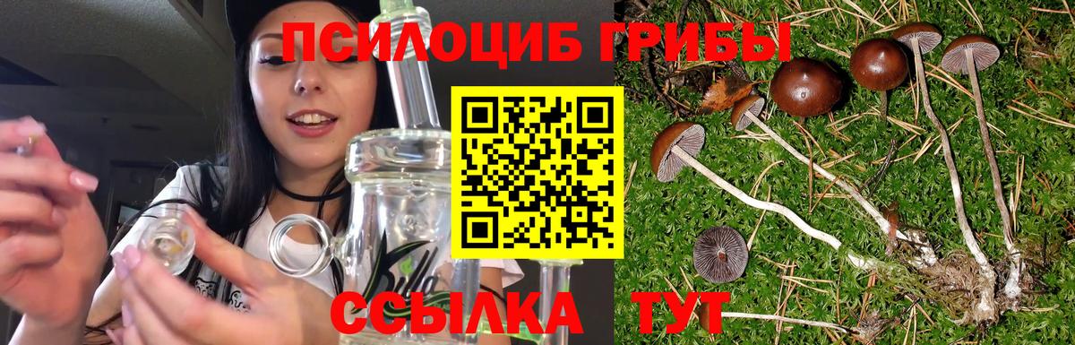 Псилоцибиновые грибы прущие грибы Сергиев Посад