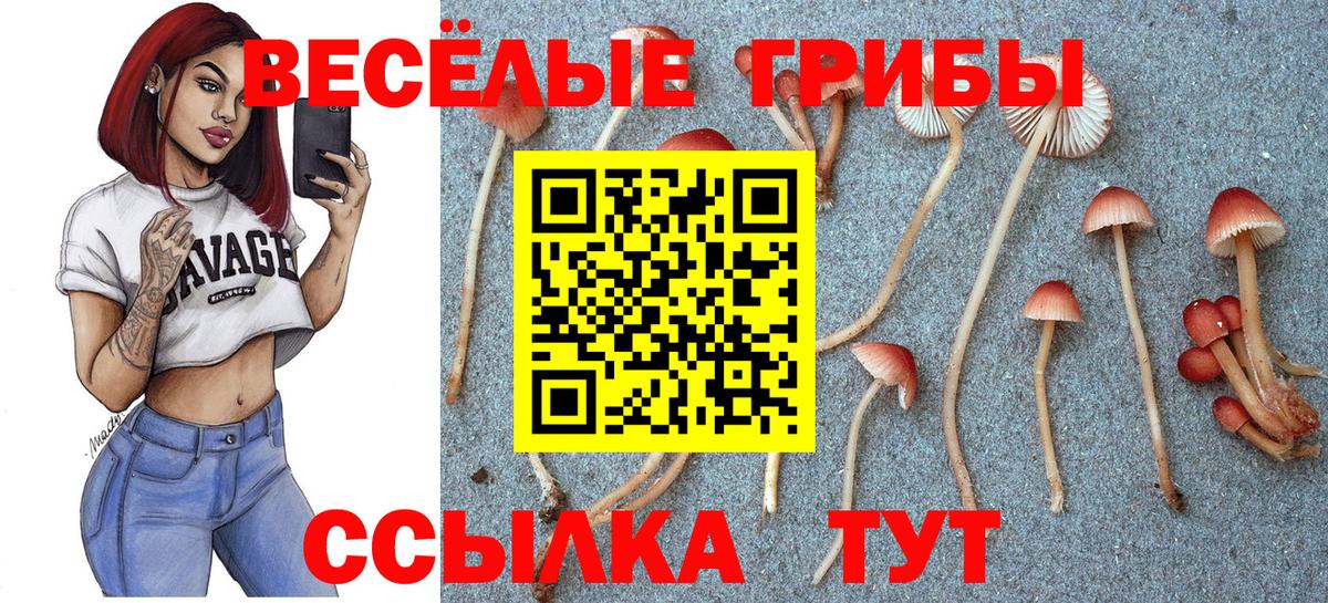 Галлюциногенные грибы MAGIC MUSHROOMS  Вход с VPN  Галлюциногенные грибы GOLDEN TEACHER  Сергиев Посад 